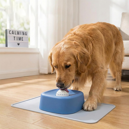 Anti-Choking Slow Feeder Bowl